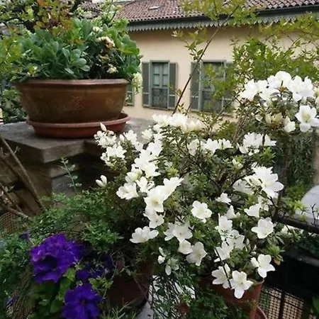 아파트 Con Terrazzo Nel Centro Di *