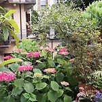 Con Terrazzo Nel Centro Di *
