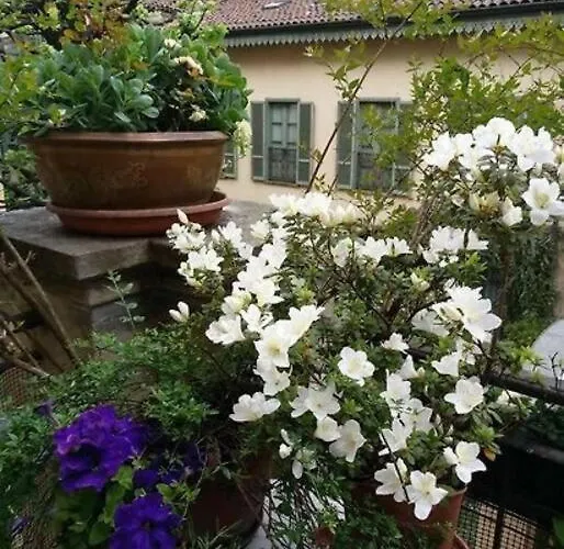 Apartment Con Terrazzo Nel Centro Di *